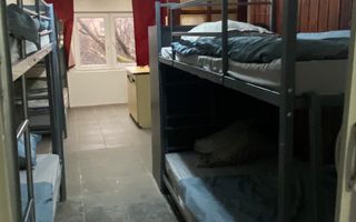 Cazare personal companii – 6 camere, utilități contorizate separat, centrală gaz, Oradea - Poză 17