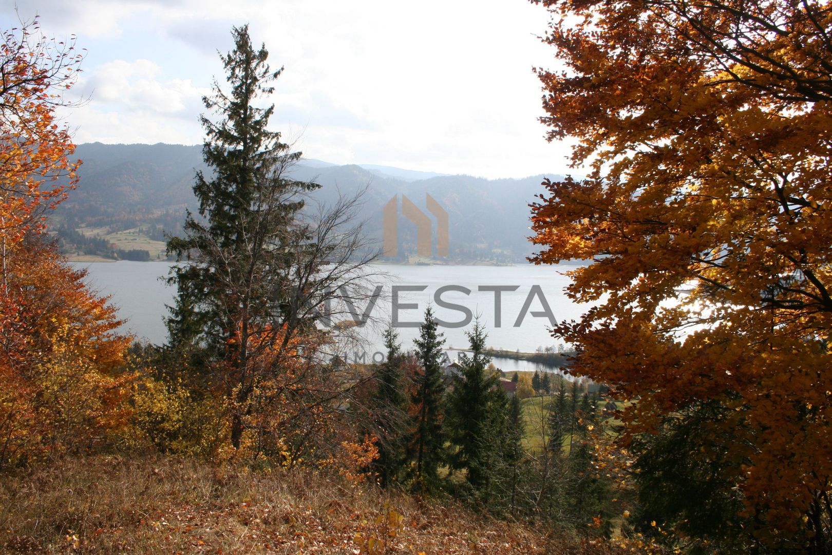 Oportunitate langa lacul Colibita! Teren intravilan 12.588 mp! - Poză 5