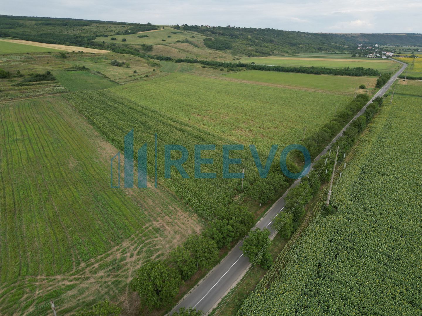 Teren de 4.400 mp Racova - Poză 2