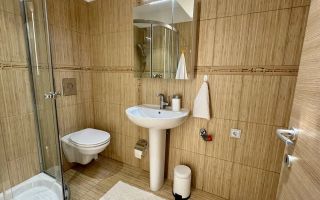 STUDIO PREMIUM | PET FRIENDLY | HERASTRAU - Poză 6