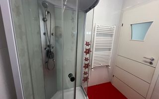 Apartament modern 2 dormitoare+living Nicolina T.Neculai - Poză 22