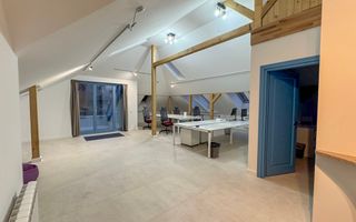 Vila impresionanta cu 12 incaperi in Andrei Muresanu - Poză 15