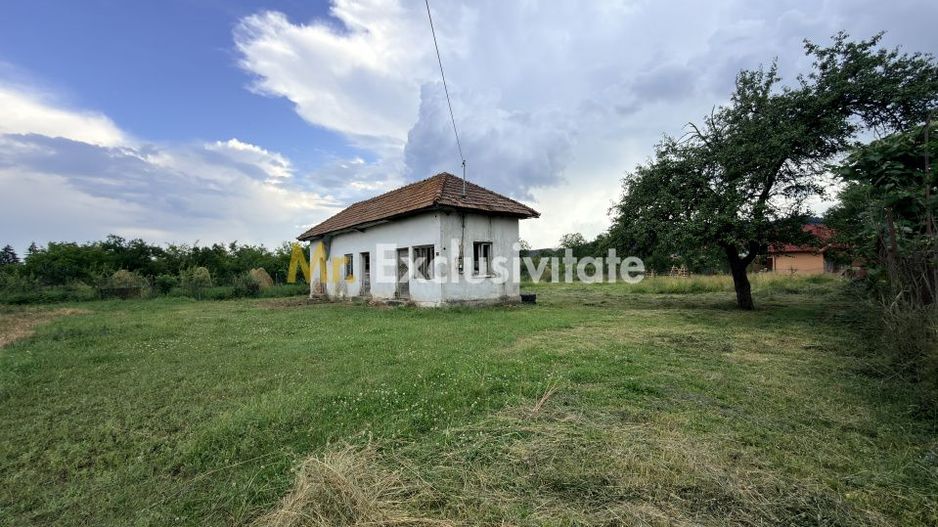 Teren intravilan–2.104 mp | Albești - Transfagarasan - Curtea de Arges - Poză 2