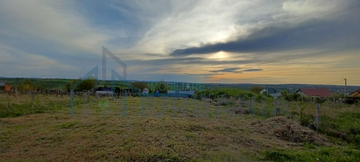 Teren intravilan 1000 mp, Visani, Str. Dealul Craitelor, zona rezidentiala, Iasi - Poză 3