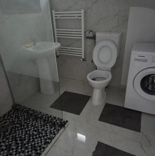 Chirie casa tip duplex, Pantelimon/Cernica - Poză 5