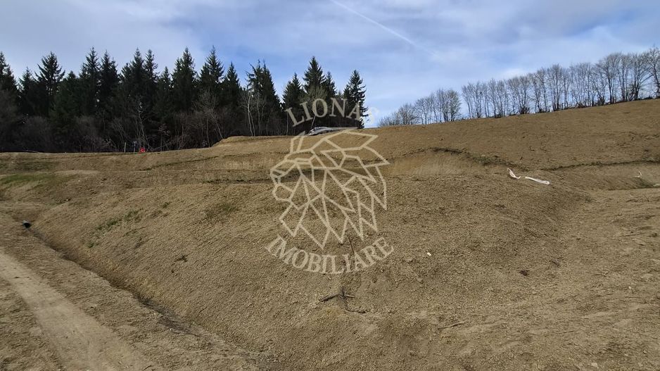 Teren 500 mp- 5 minute centru- investitie, cabana in natura, Bistrita - Poză 1