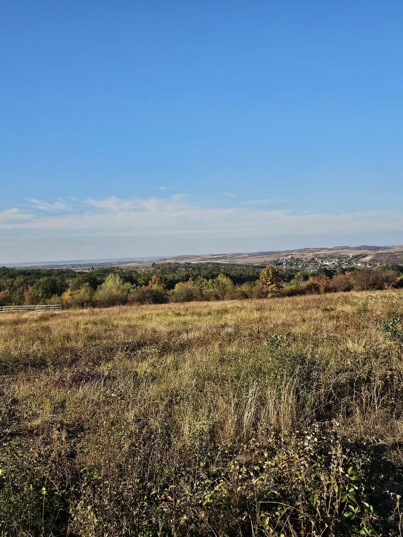 Teren intravilan 3500 mp zona Piersicilor Oradea - Poză 3