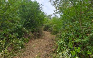 Teren 2552 mp, panorama superba Mosoaia Hintesti -Strada  Basangesti - Poză 3