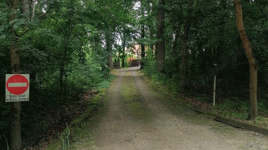 Vând casă Satu Mare P+M+D - Poză 1