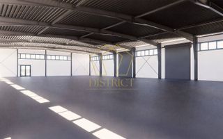 Hale industriale noi | Sanandrei | A1 - Poză 10