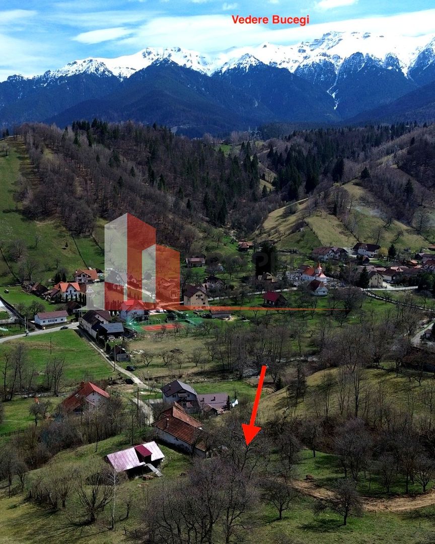TEREN 11.500 MP + CASA AUTHENTICA ÎN BRAN – ȘIMON | VEDERE BUCEGI - Poză 3