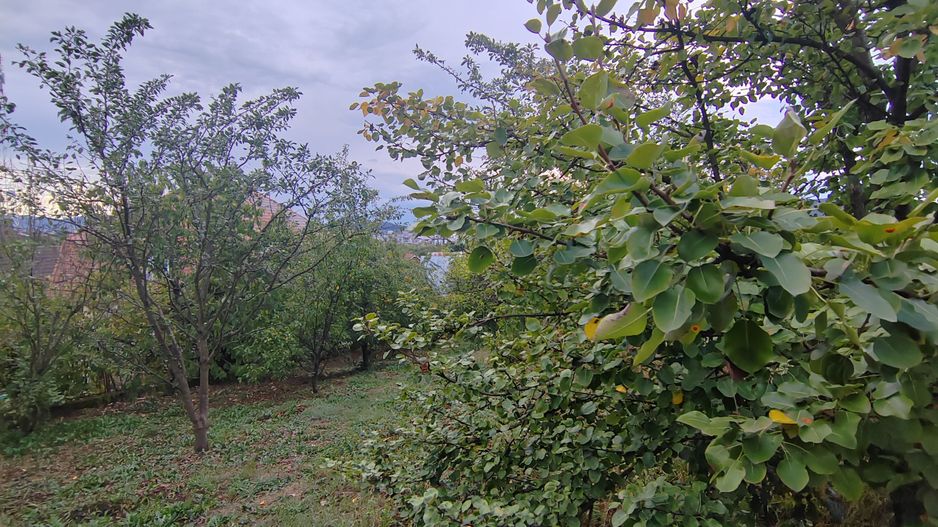 casa - 24 ari de teren - Valea Ghinzii - Poză 8