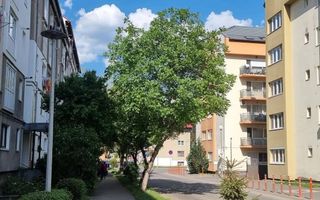APARTAMENT 3 CAMERE | 2 BĂI | LOC DE PARCARE SUBTERAN | TEREZIAN - Poză 17