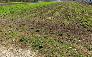 Teren cu utilitati in Magurele,Ilfov,Str.Capricornului - Poză 3