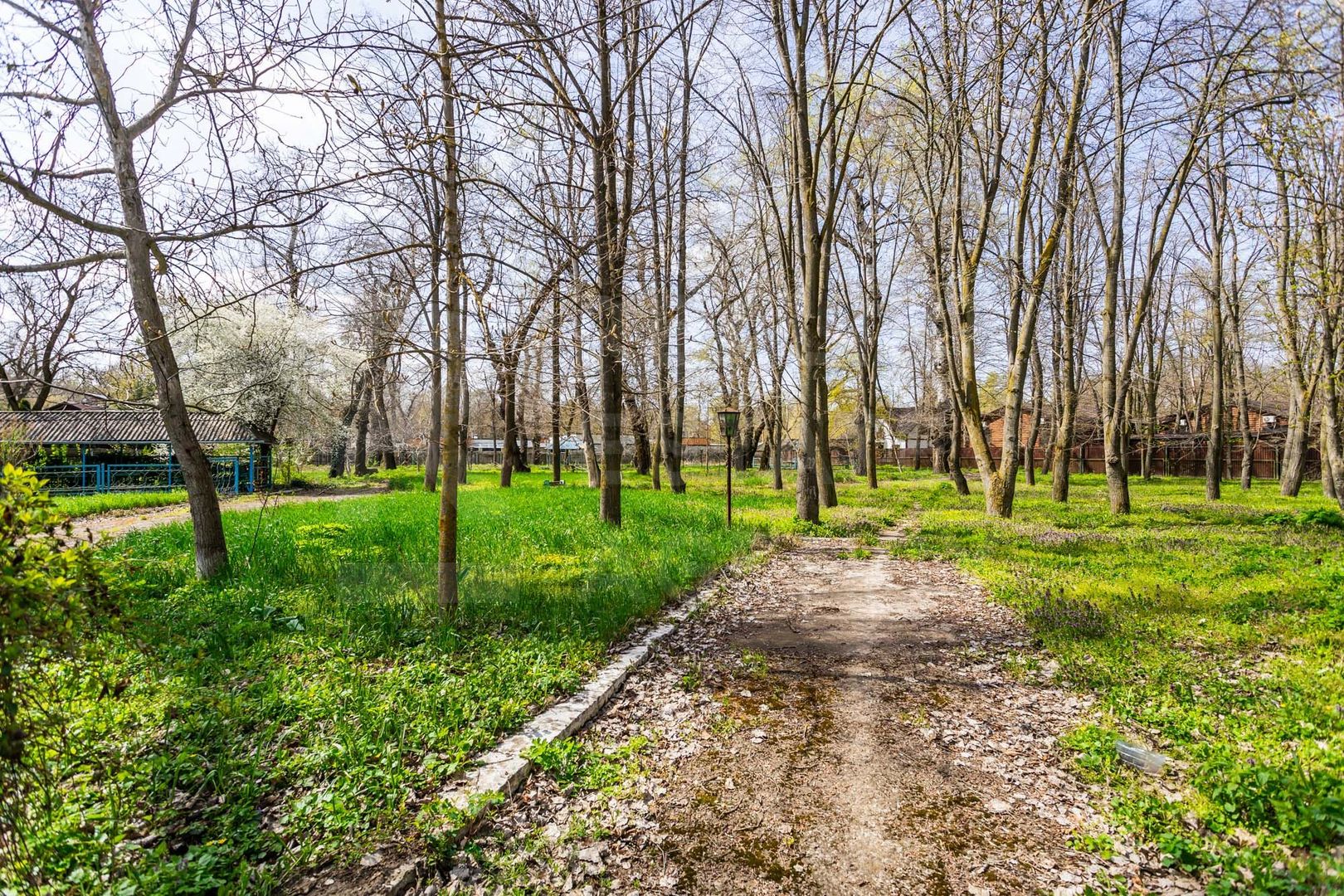 Vânzare, teren, 1.04 ha, Vadul lui Vodă - Poză 2