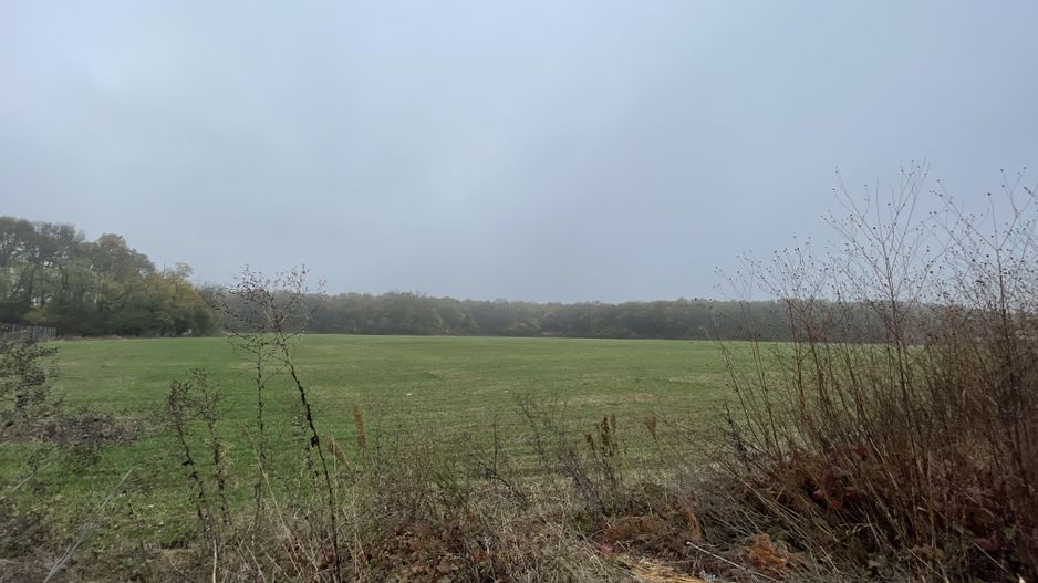 9400 mp | Ideal pentru investitie | Tunari | Deschidere la padure - Poză 4