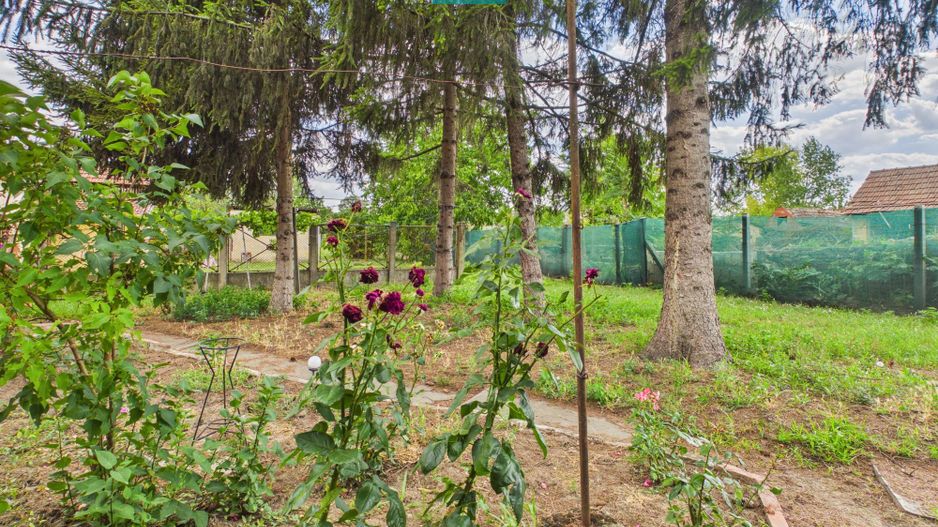 Casă cu 3 camere și teren de 1454 mp în Battonya - Poză 12