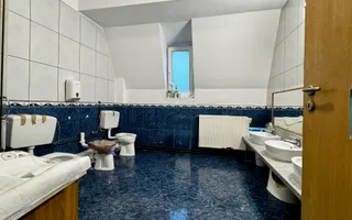 Casa spațioasă, cu spațiu comercial, locuri de parcare - Aradului Vest - Poză 13