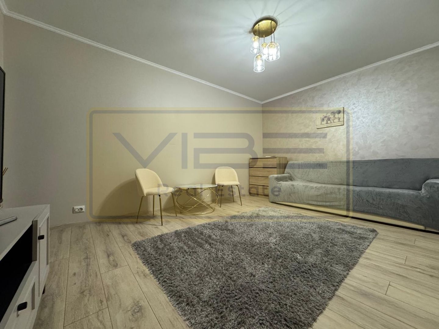 Bucium -Visan- Family Market - Decomandat - 400 euro - Poză 7