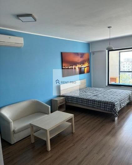 Studio Vedere Lacul Morii 43 Mp Lake House Virtuții - Poză 5