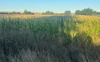 Teren Siret E85 | 2500MP | Toate Utilitățile - Poză 1