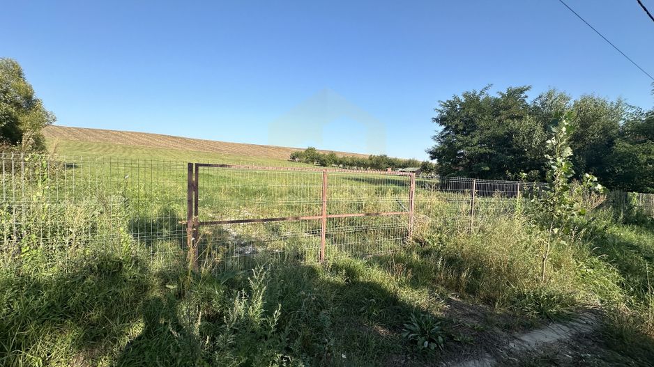 Vanzare teren 2936 mp, zona strada Dealu Fanatelor - Poză 7