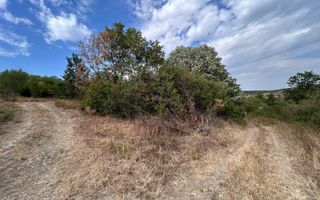 Sapient | Teren intravilan în Săldăbagiu de Munte 4.316 mp - Poză 4