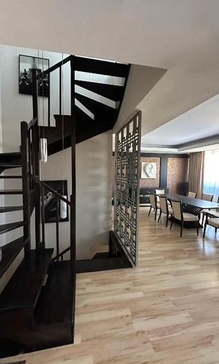 Triplex vedere panoramica | Terasa 80 mp | Herastrau - Poză 12