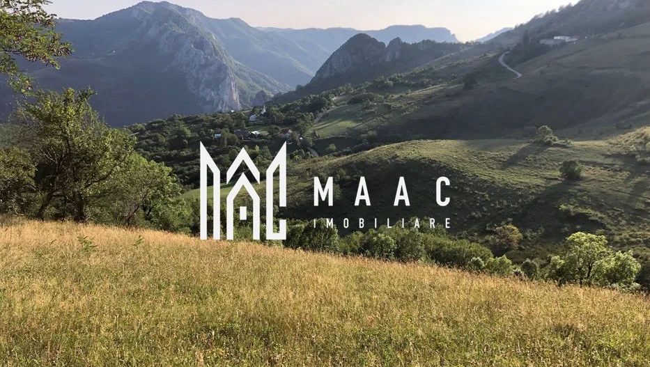 BLACK FRIDAY  I Teren cu potențial turistic I 3174 MP | TransApuseana - Poză 2