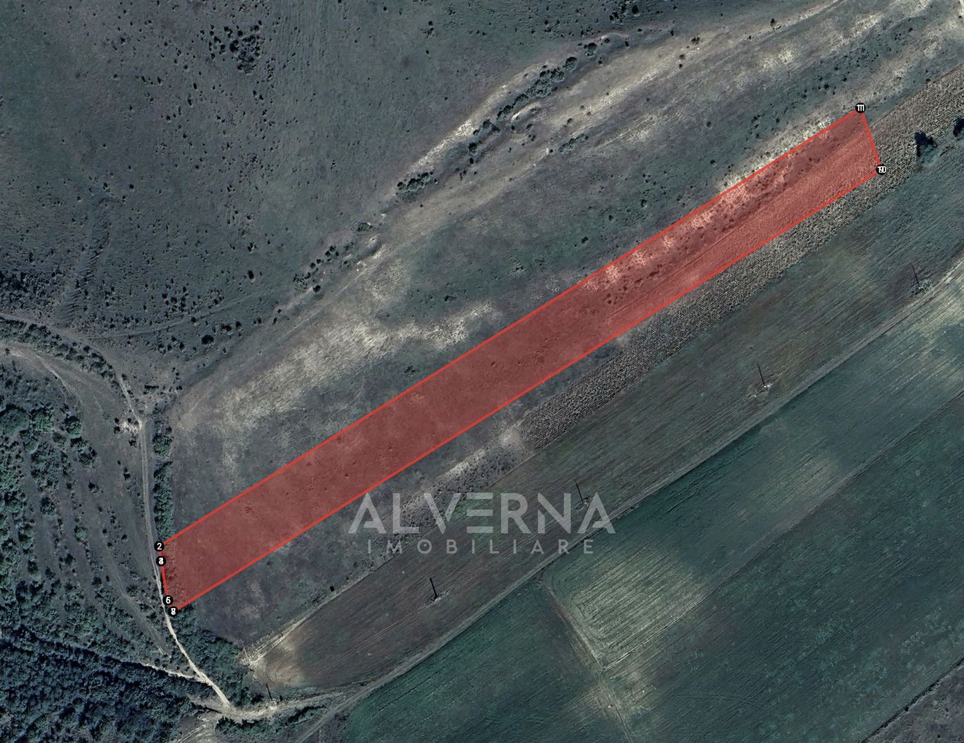 COMISION 0% - Teren extravilan 11.600mp - cadastrat - Gadalin / Jucu - Poză 6