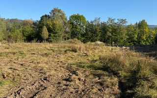 TEREN INTRAVILAN, CAMPULUNG,  2691 MP - Poză 29