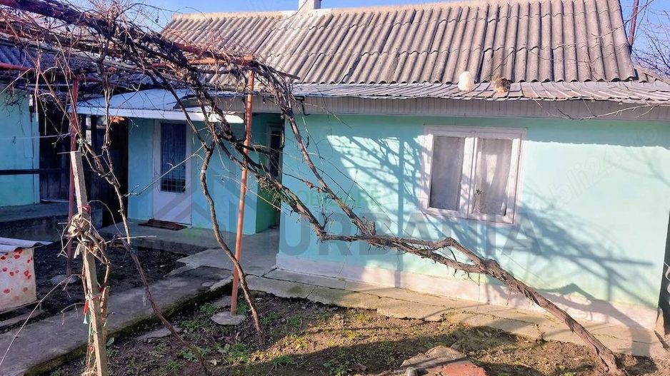 Casă cu teren intravilan 6.900 mp și extravilan 950 mp, comuna Miroslovești, județul Iași, ieșire directă E85 - Poză 4