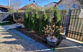 Casa duplex de închiriat, 3 dormitoare, curte 320 mp, Valea Adâncă - Poză 2