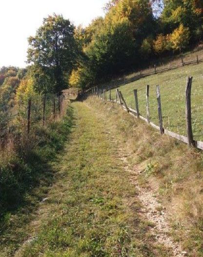 Teren Dambovicioara Arges - Poză 1