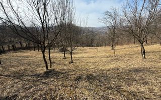 Teren intravilan 2788 mp deschidere 55 ml cu vedere panoramica ! - Poză 8