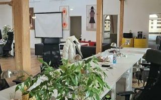 Rosetti birou in vila Istorica reconsolidata | Universitate - Poză 10
