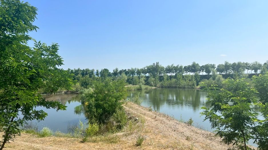 Iaz Piscicol Bacau Saucesti - Poză 8