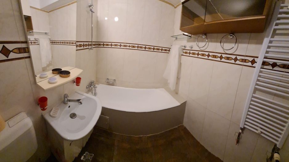 Apratament Gara de Nord/Facultatea de Inginerie Medicală - Poză 10