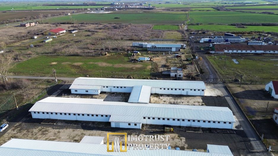 HALA INDUSTRIALA DE VANZARE | PECICA – ARAD - Poză 3