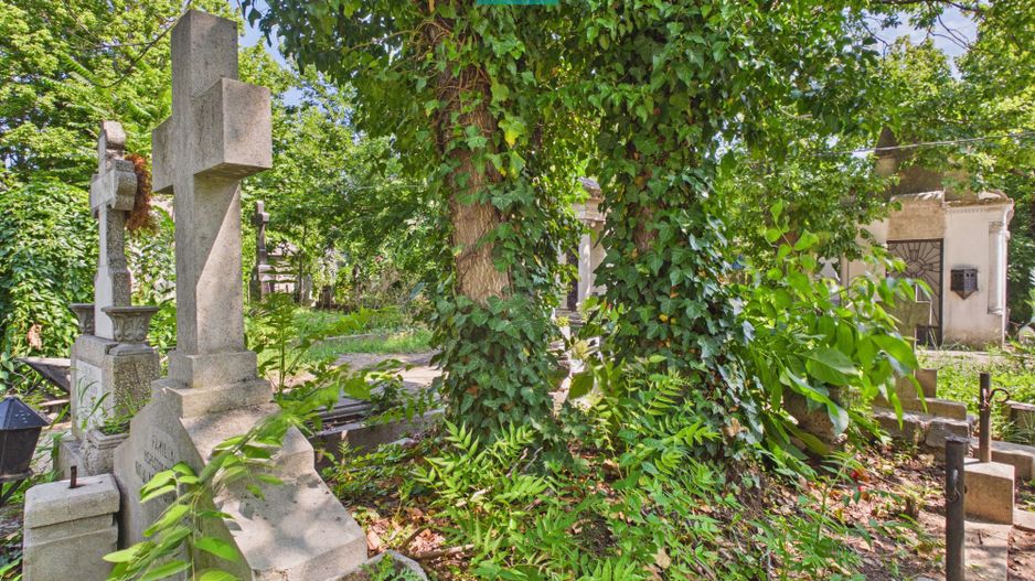 Loc de veci, cimitir Bellu,  Bucuresti - Poză 4