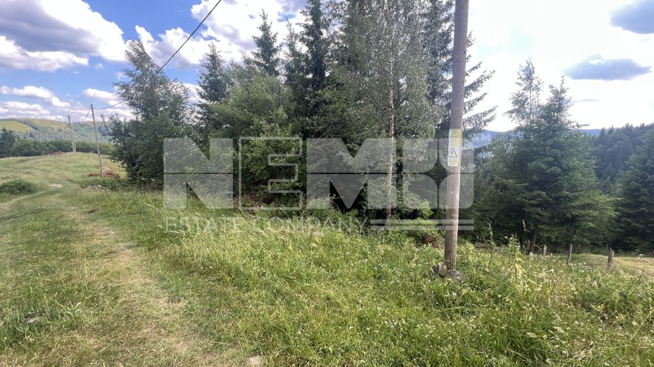 Teren Intravilan | Brodina de Jos | 16900 MP - Poză 1