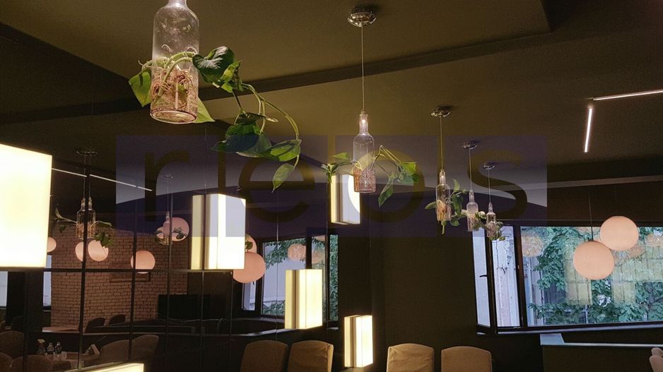 OPORTUNITATE VANZARE - INCHIRIERE VILA RESTAURANT | GRADINA ICOANEI | - Poză 6