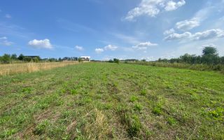 Teren Intravilan | 25 Ari | Voievodeasa - Poză 3