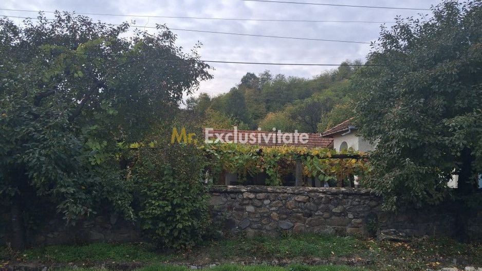 Casă tradițională cu teren generos – Borosteni, Peștișani, jud. Gorj - Poză 4