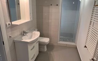 Iancu Nicolae  British School vila de închiriat 5 camere cu piscină - Poză 28