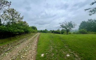 Teren 3507 mp/ Seaca/Calimanesti - Poză 2