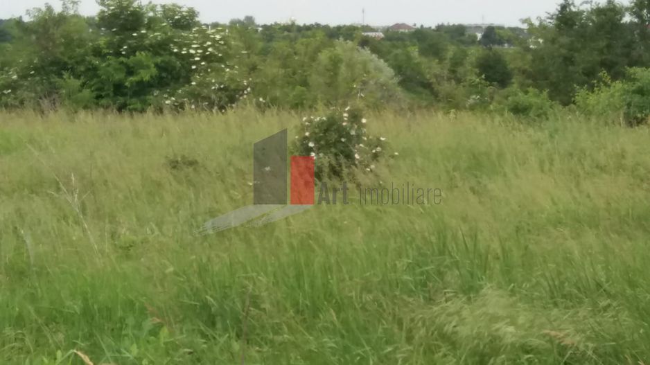 Teren cu iesire la lac - Poză 14