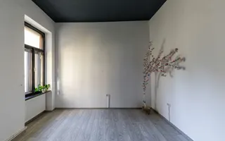 Apartament 196 mp, cu 5 camere, în zona istorică Iosefin - Timisoara - Poză 29