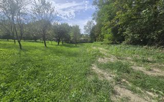 Oportunitate de investiție în Breaza – teren intravilan de 3.591 mp - Poză 5