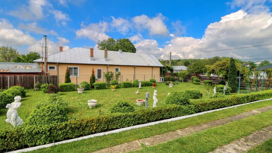 Casă boierească  de poveste- 7000 mp teren - Poză 67